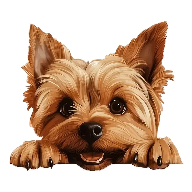 Capacho Pet Modelo 6